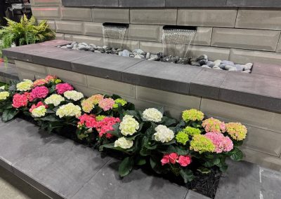 A row of blooming hydrangeas in pink, white, and green shades is planted in front of a modern stone water feature with cascading streams and smooth decorative rocks.
